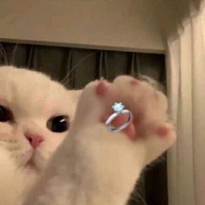 Meet your Posher, Sage